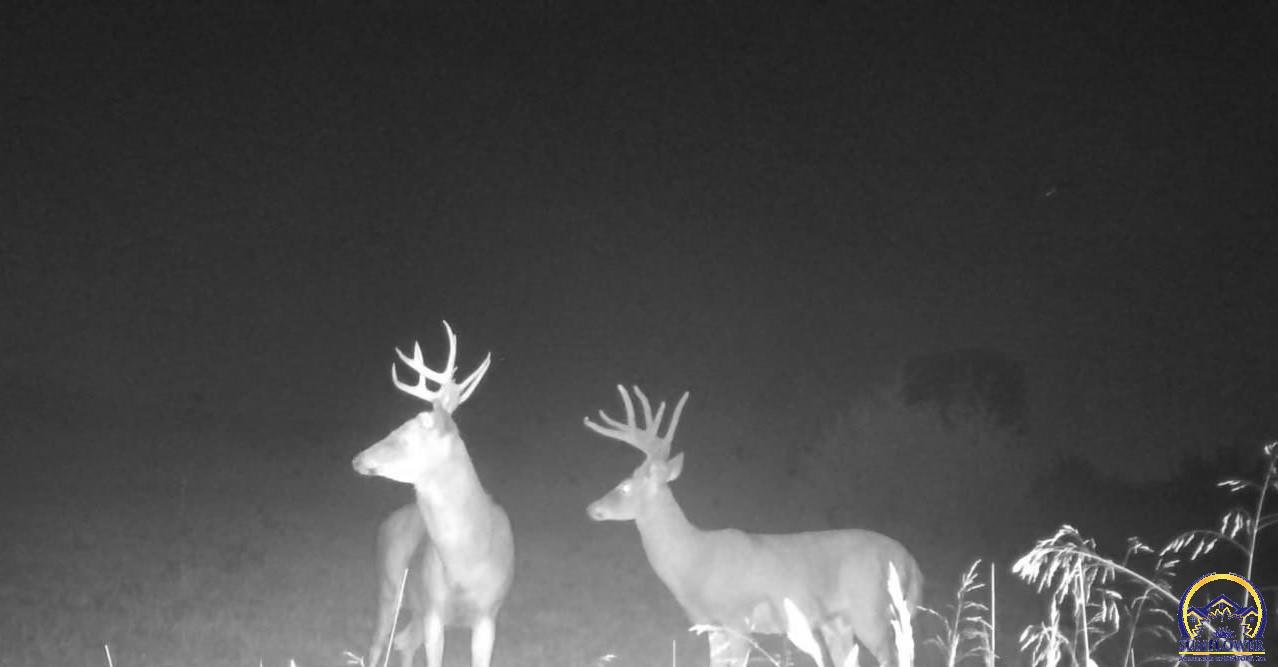 14351 S Road Mayetta, KS 66509 - Photo 13 of 14