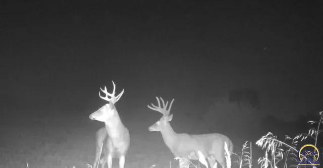 $339,000 | 14351 S Road, Mayetta, KS 66509