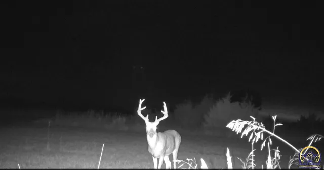 $339,000 | 14351 S Road, Mayetta, KS 66509