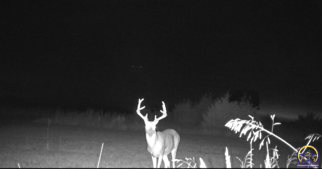 14351 S Road Mayetta, KS 66509 - Photo 14 of 14