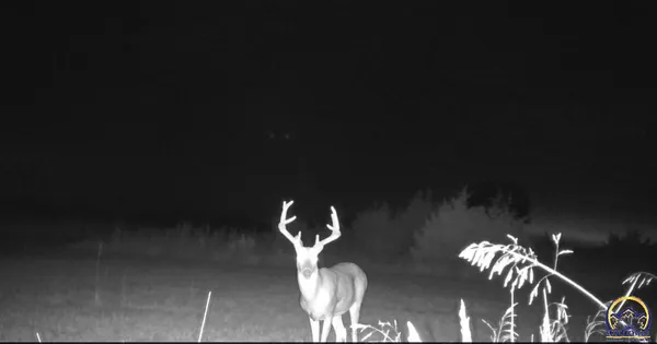 $339,000 | 14351 S Road, Mayetta, KS 66509