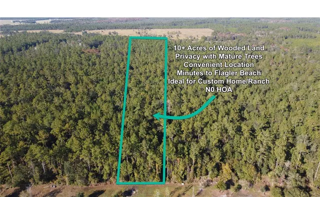 a view of a city with lush green forest