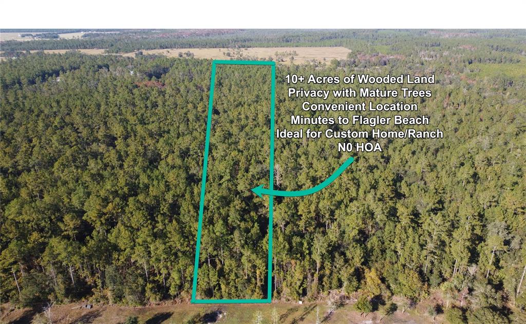 4619 State Rte 100 Bunnell, FL 32110 - Photo 2 of 6 a view of a city with lush green forest