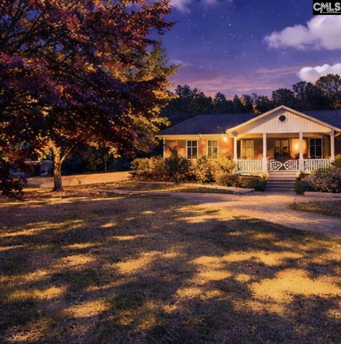 646 Briar Creek Road Branchville, SC 29432 - Photo 7 of 50