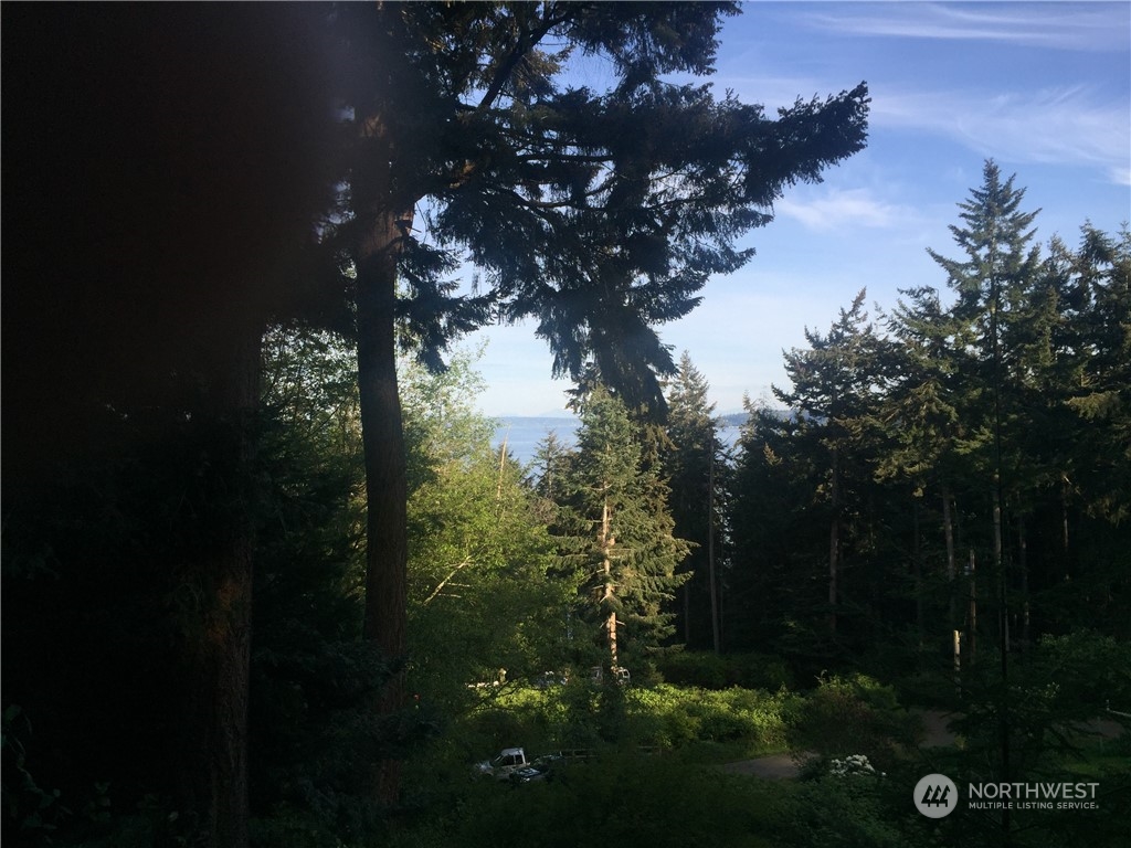 0 North Bluff Road Greenbank, WA 98253 - Photo 8 of 14 Gallery Image 8