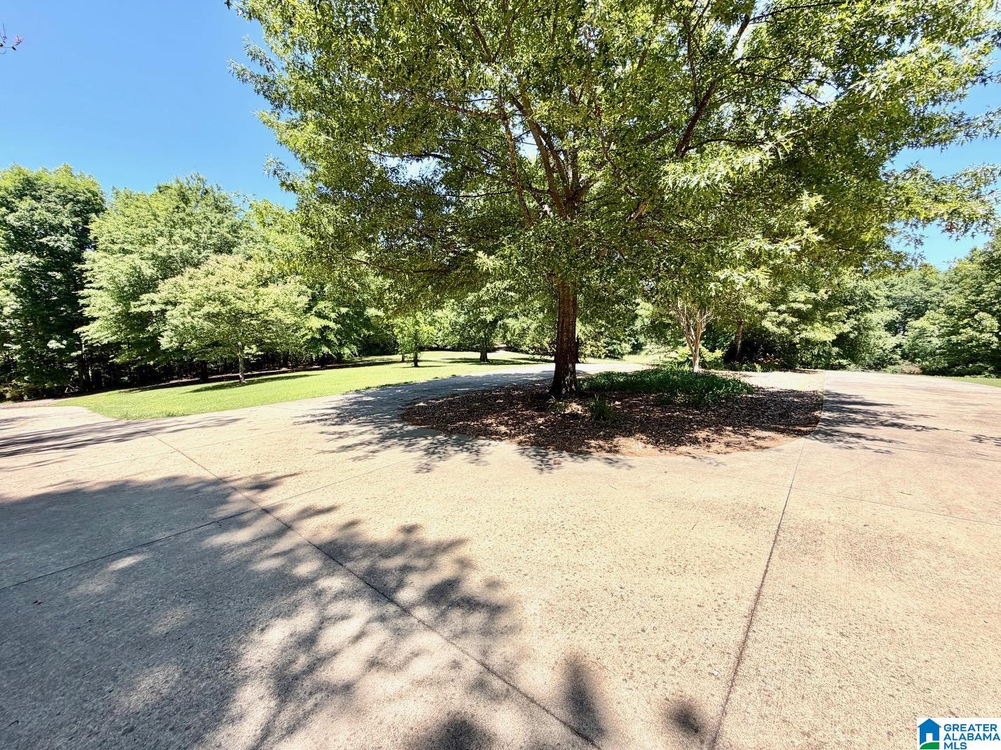 1097 Gnatville Road Piedmont, AL 36272 - Photo 4 of 79