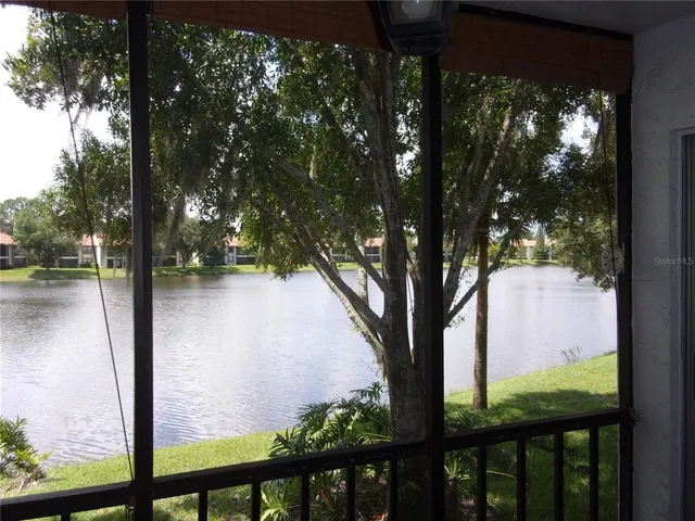 a view of a swimming pool and lounge chair