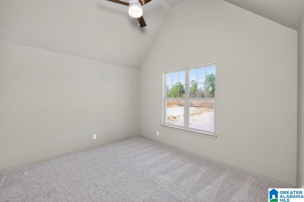 6337 Longmoor Road Birmingham, AL 35244 - Photo 35 of 72 Gallery Image 35