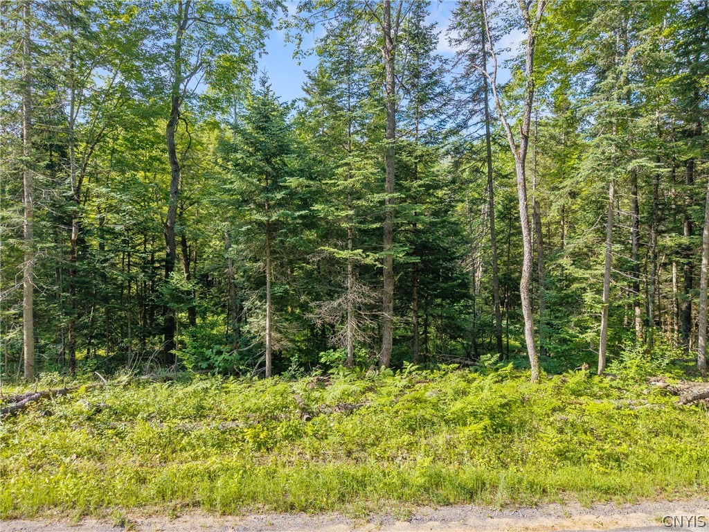 Fish Creek Road Greig, NY 13345 - Photo 10 of 14