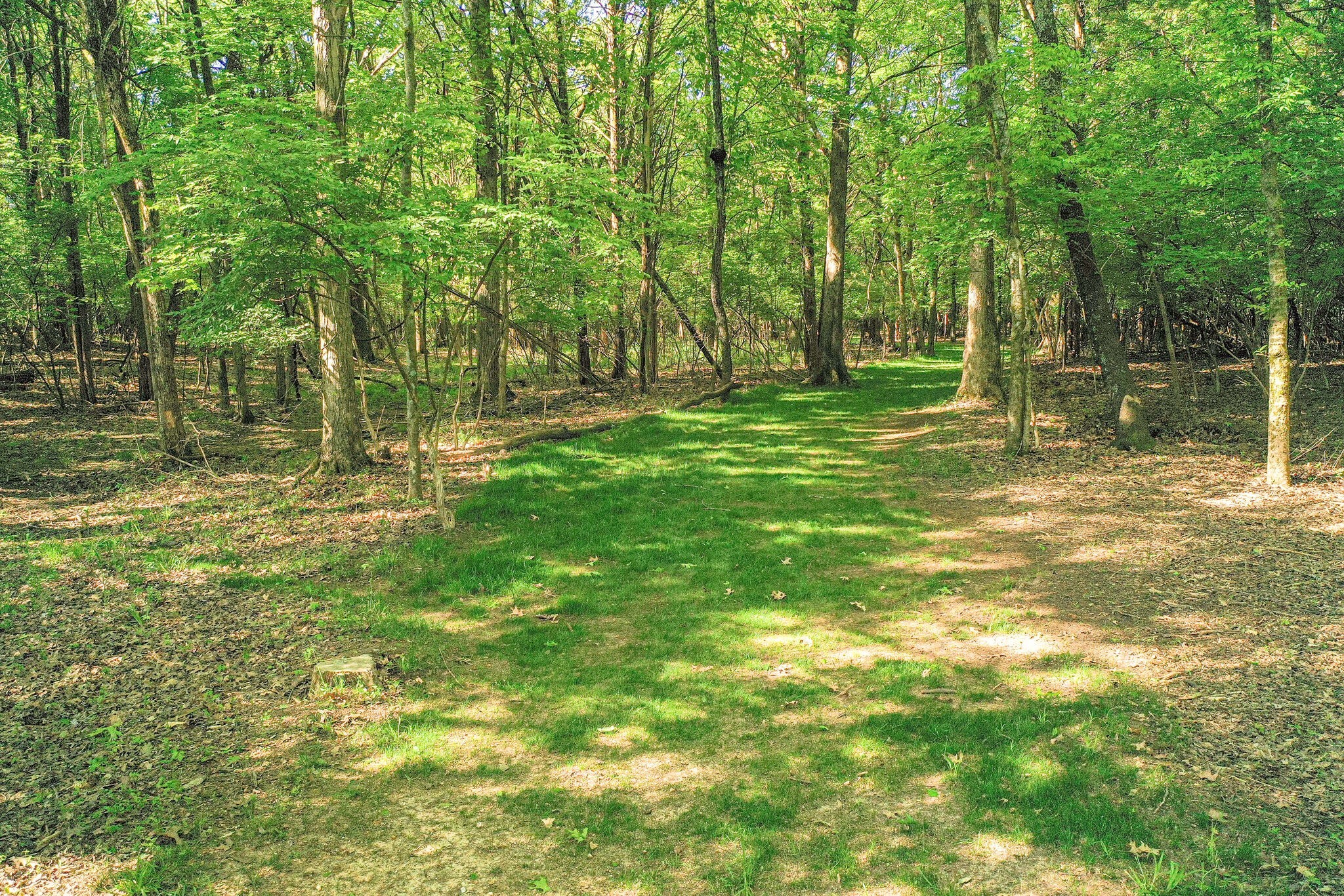 8890 Saundersville Road Mount Juliet, TN 37122 - Photo 30 of 31 Gallery Image 30