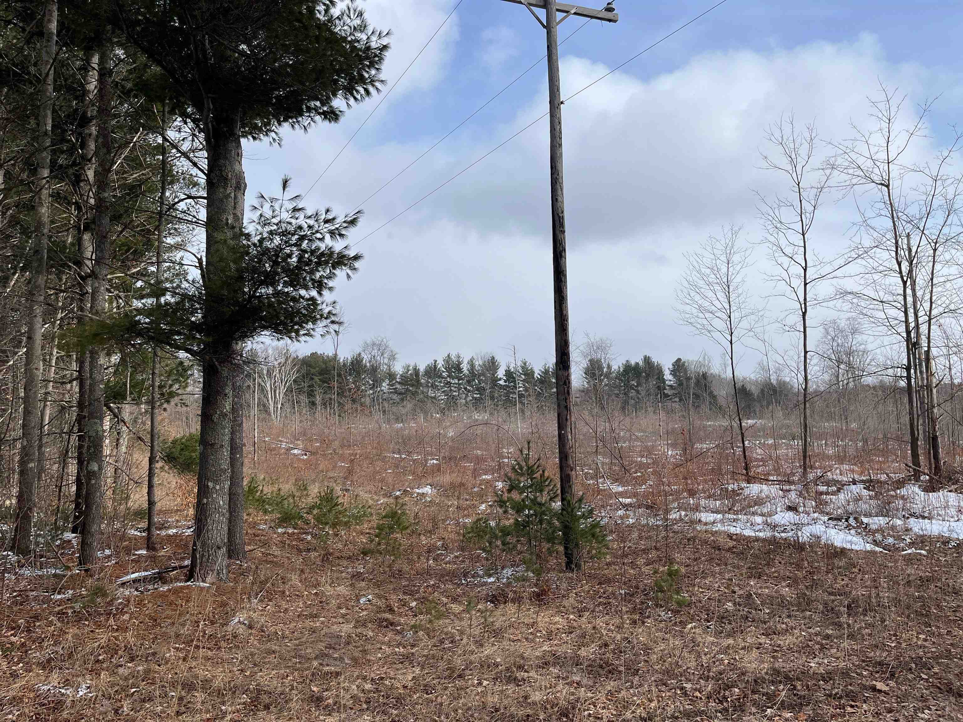 3 King Road, Unit LOT: 3 Benzonia, MI 49616 - Photo 9 of 14