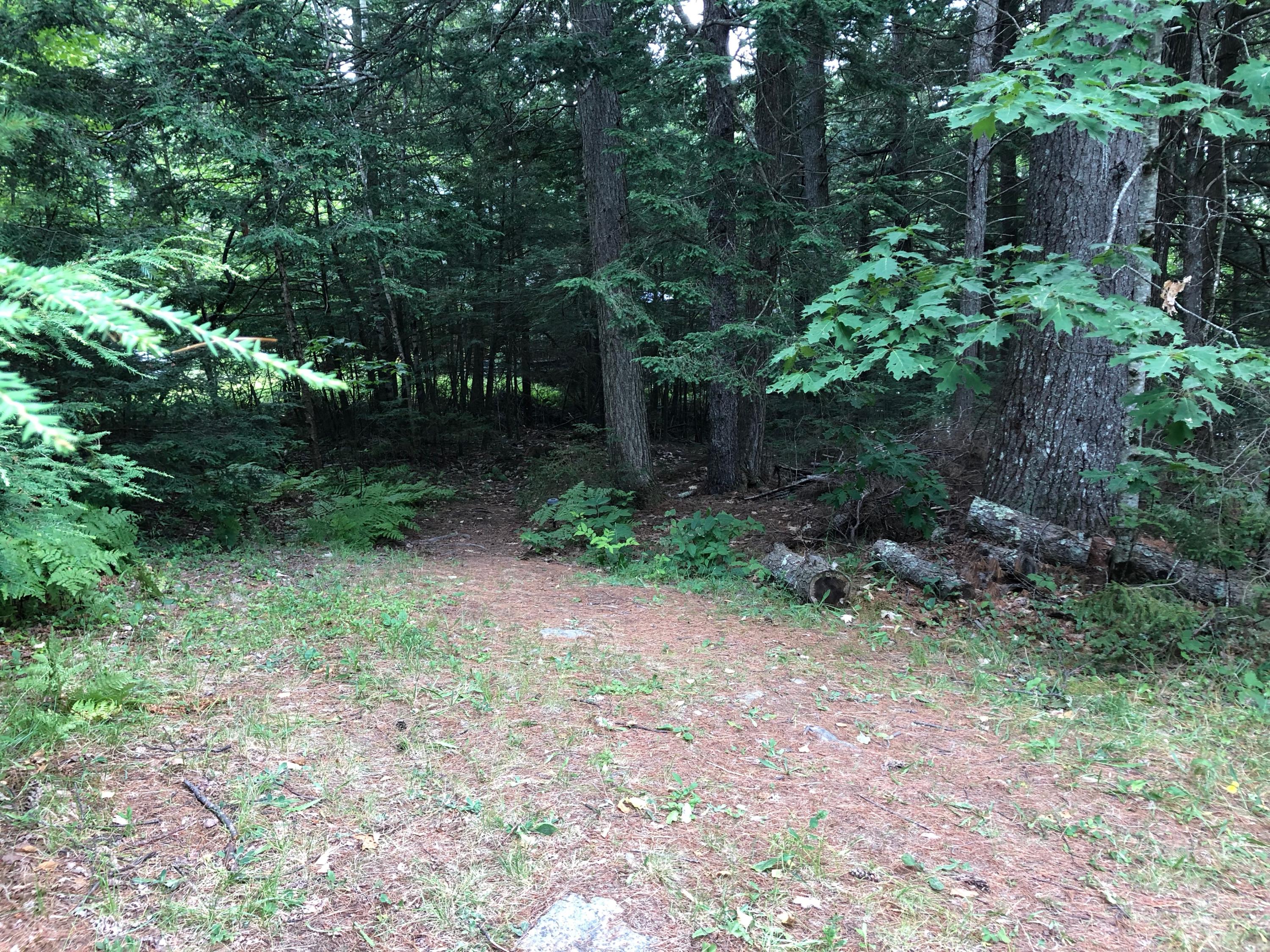 3 Benner Road Liberty, ME 04949 - Photo 15 of 18 IMG_2999