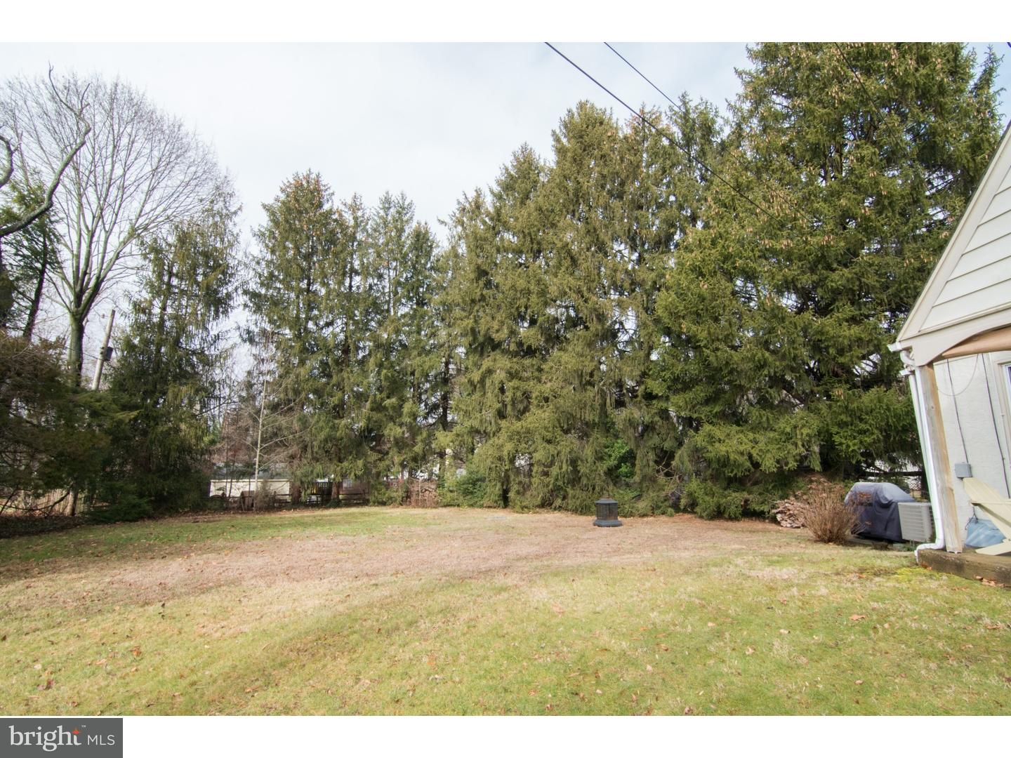 2781 Egypt Road Audubon, PA 19403 - Photo 24 of 25 Back Yard