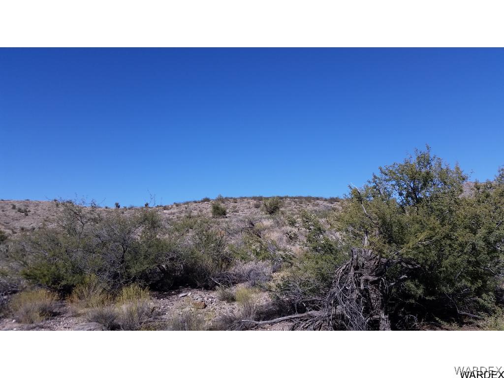 Na Silver Springs Road Kingman, AZ 86401 - Photo 8 of 15 Gallery Image 8