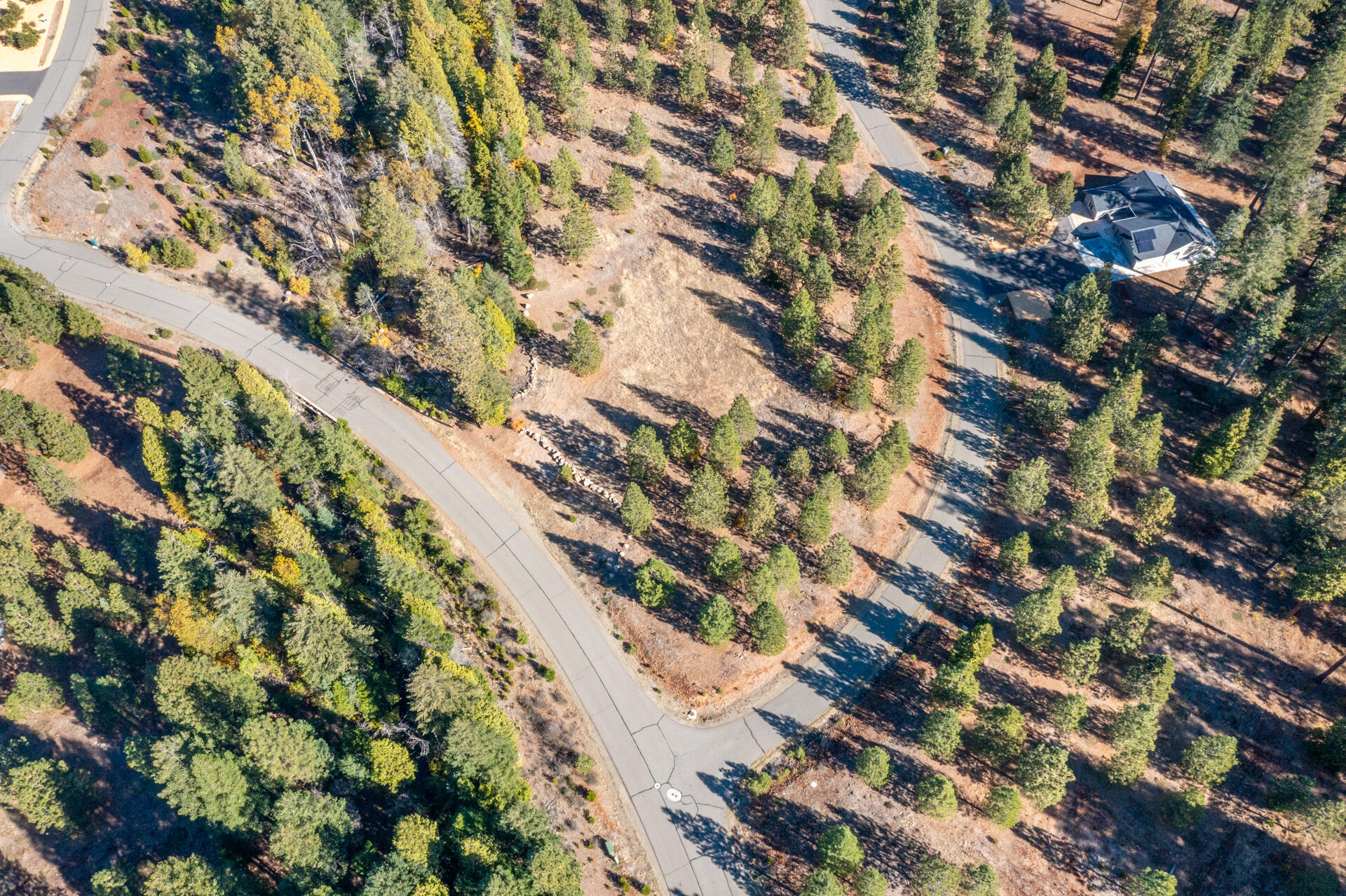 Lot 7 Velvet Rye Court Shingletown, CA 96088 - Photo 14 of 14 Corner Lot 17