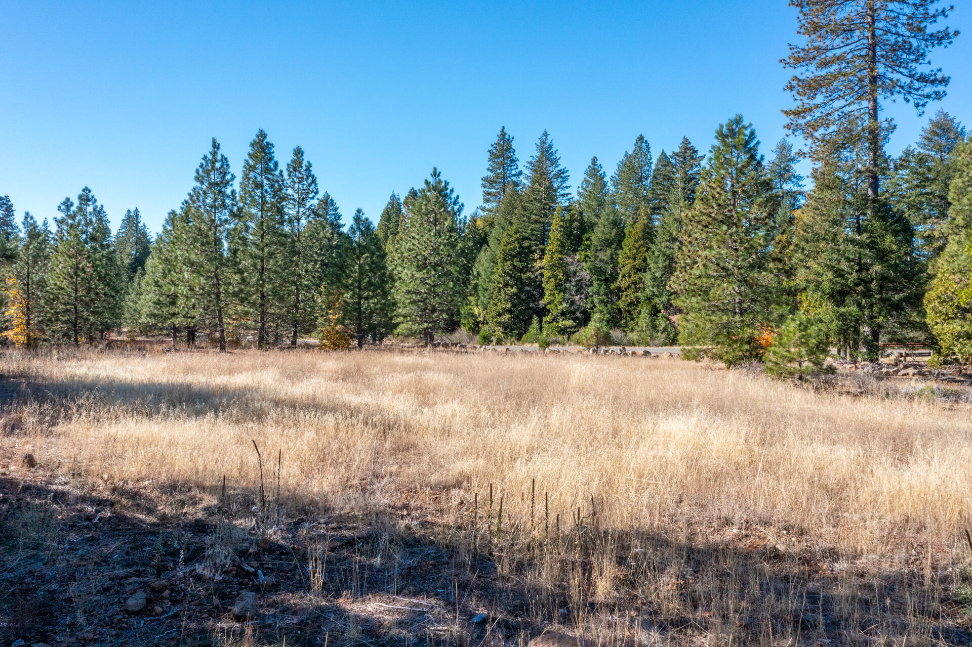 Lot 7 Velvet Rye Court Shingletown, CA 96088 - Photo 8 of 14 Lot 7