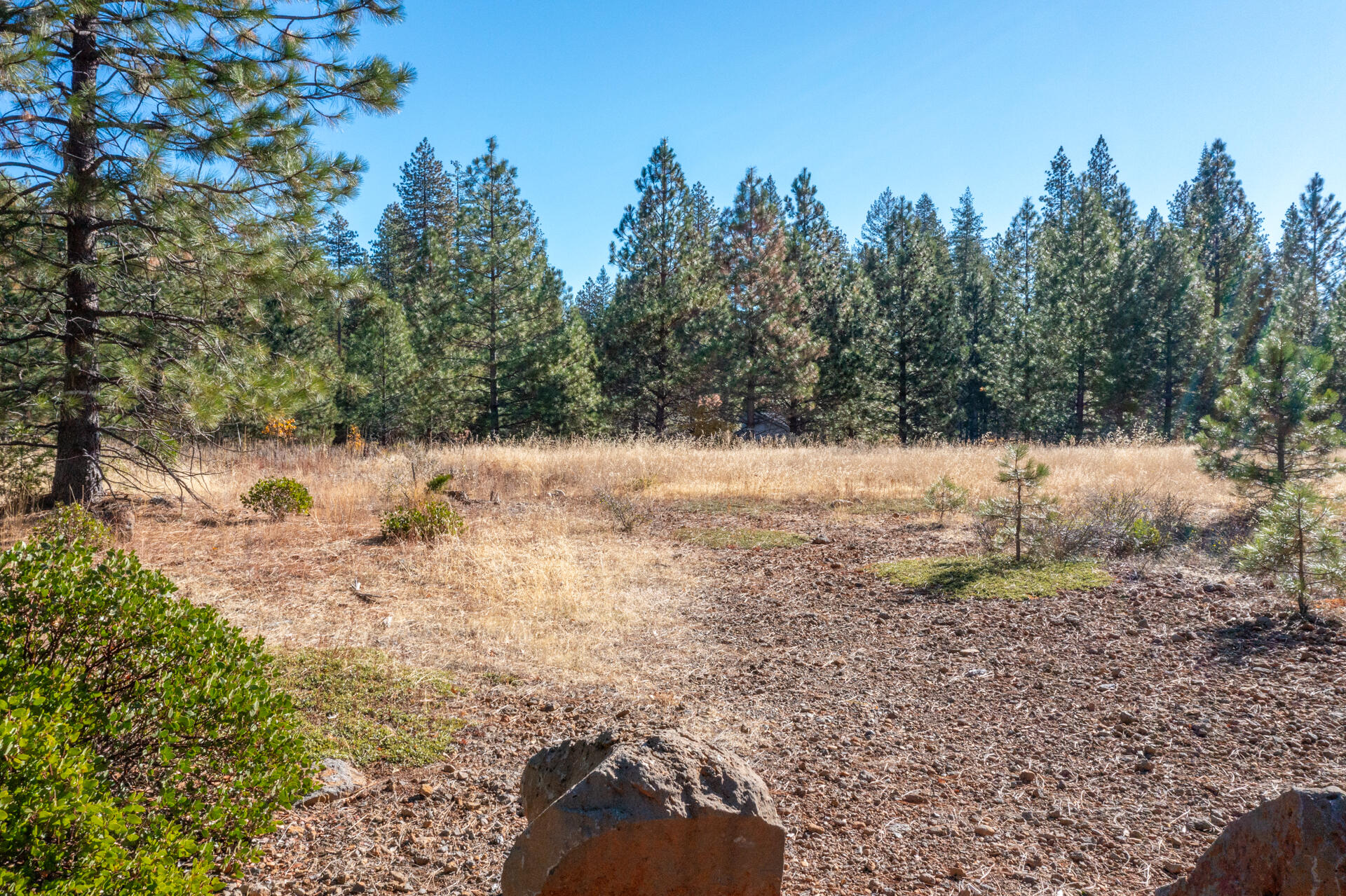 Lot 7 Velvet Rye Court Shingletown, CA 96088 - Photo 9 of 14 Lot 7