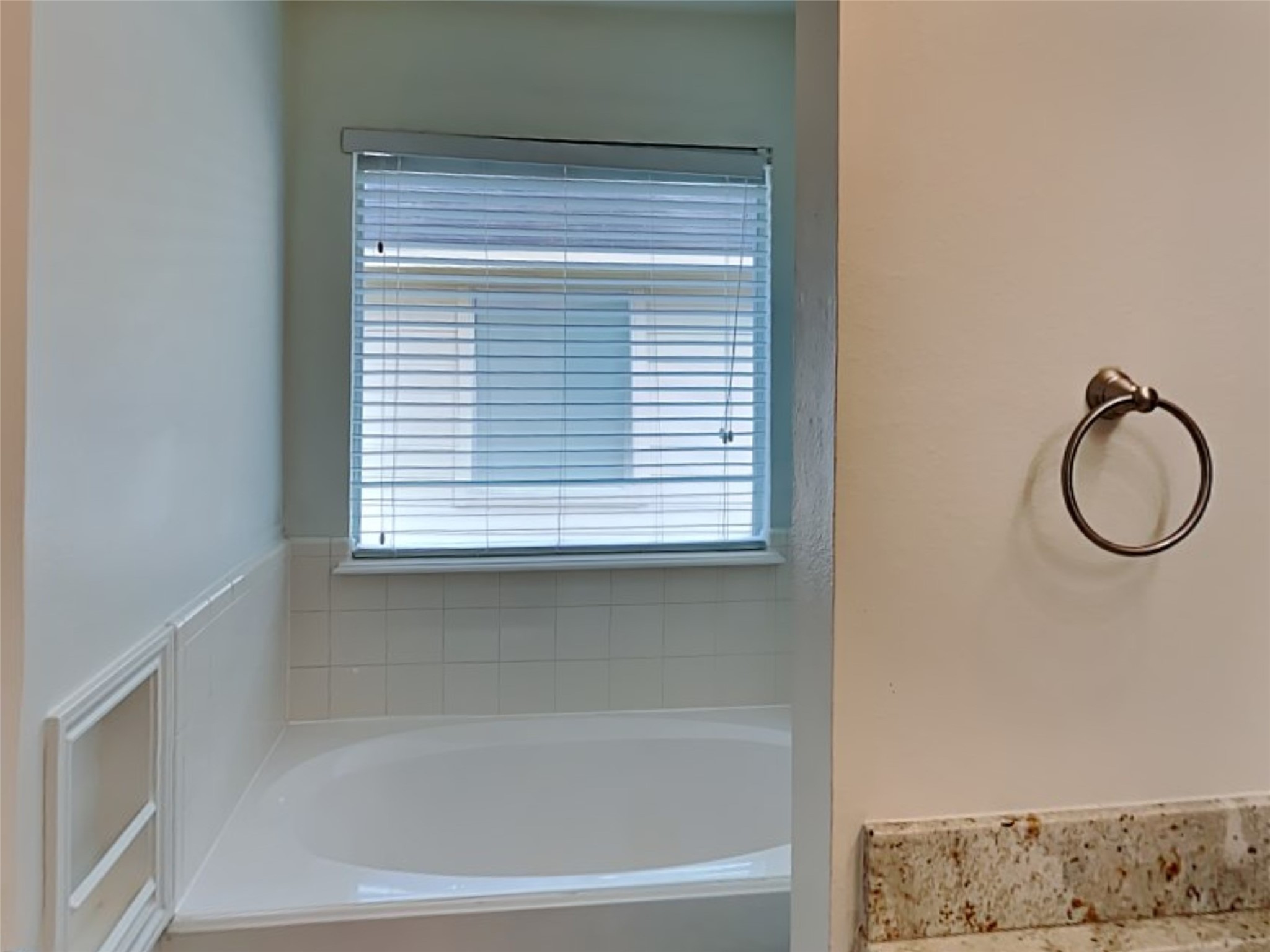 20146 Bluecreek Ridge Katy, TX 77449 - Photo 9 of 18