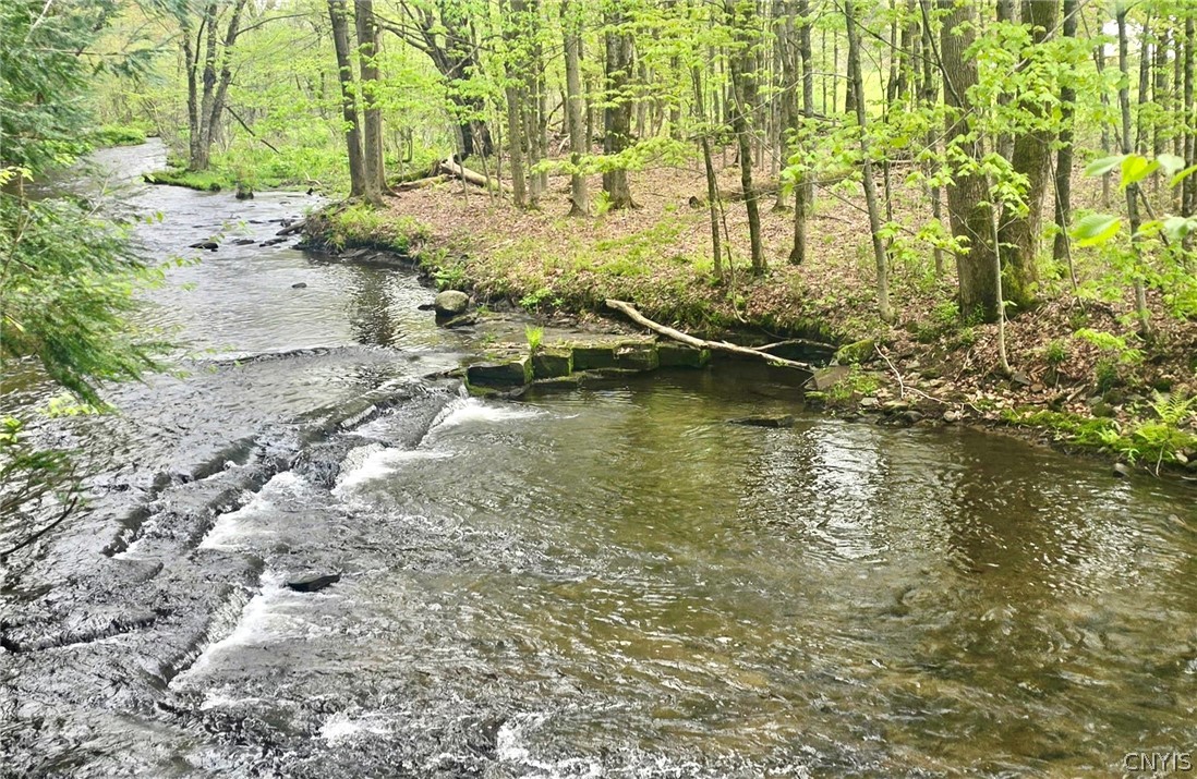 241 Jerry Look Road Orwell, NY 13144 - Photo 8 of 42 Scenic flat rock area