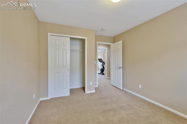 844 Diamond Rim Drive Colorado Springs, CO 80921 - Photo 18 of 36 Gallery Image 18
