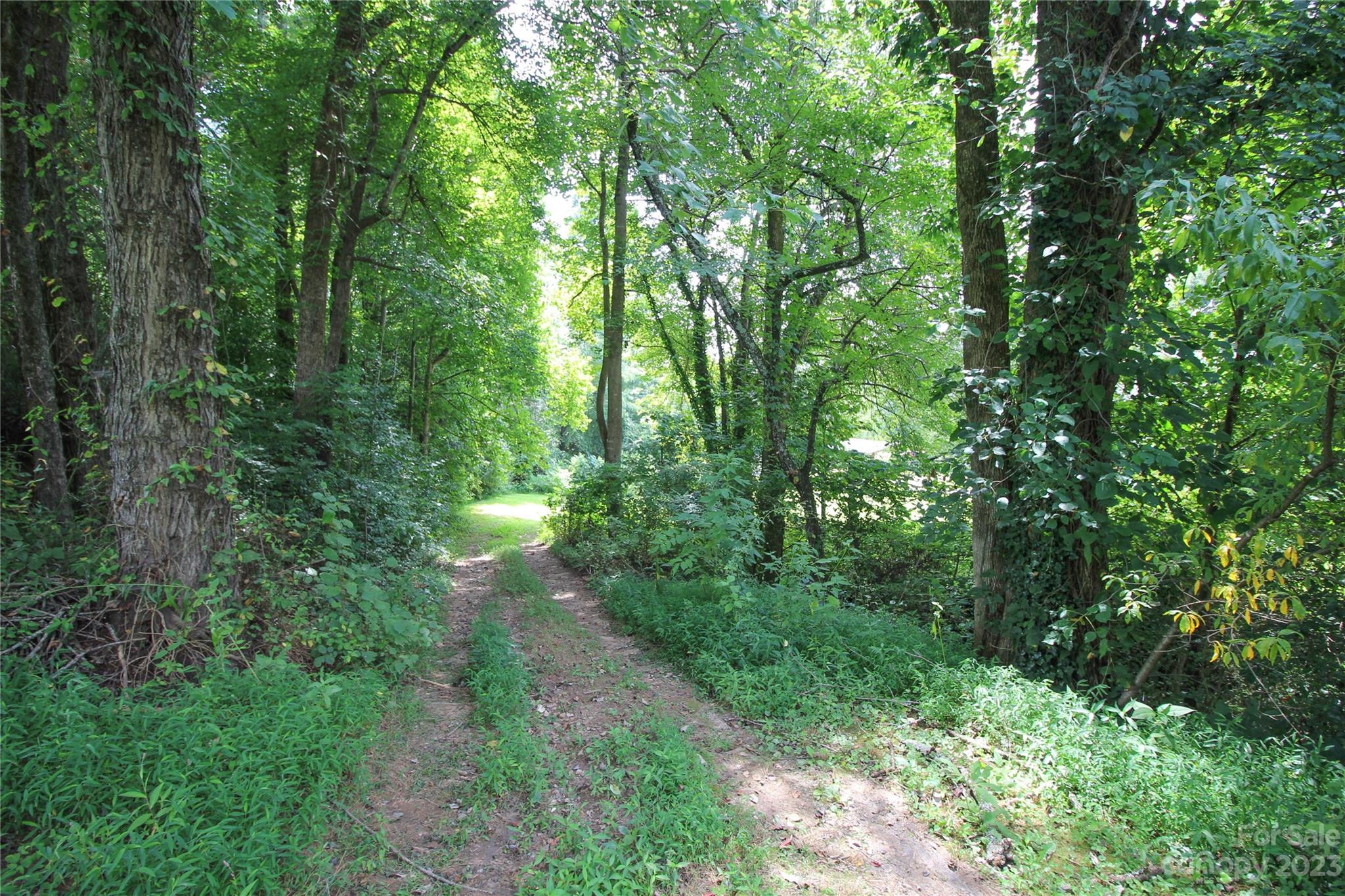 4749 Patton Road Morganton, NC 28655 - Photo 15 of 48 Gallery Image 15