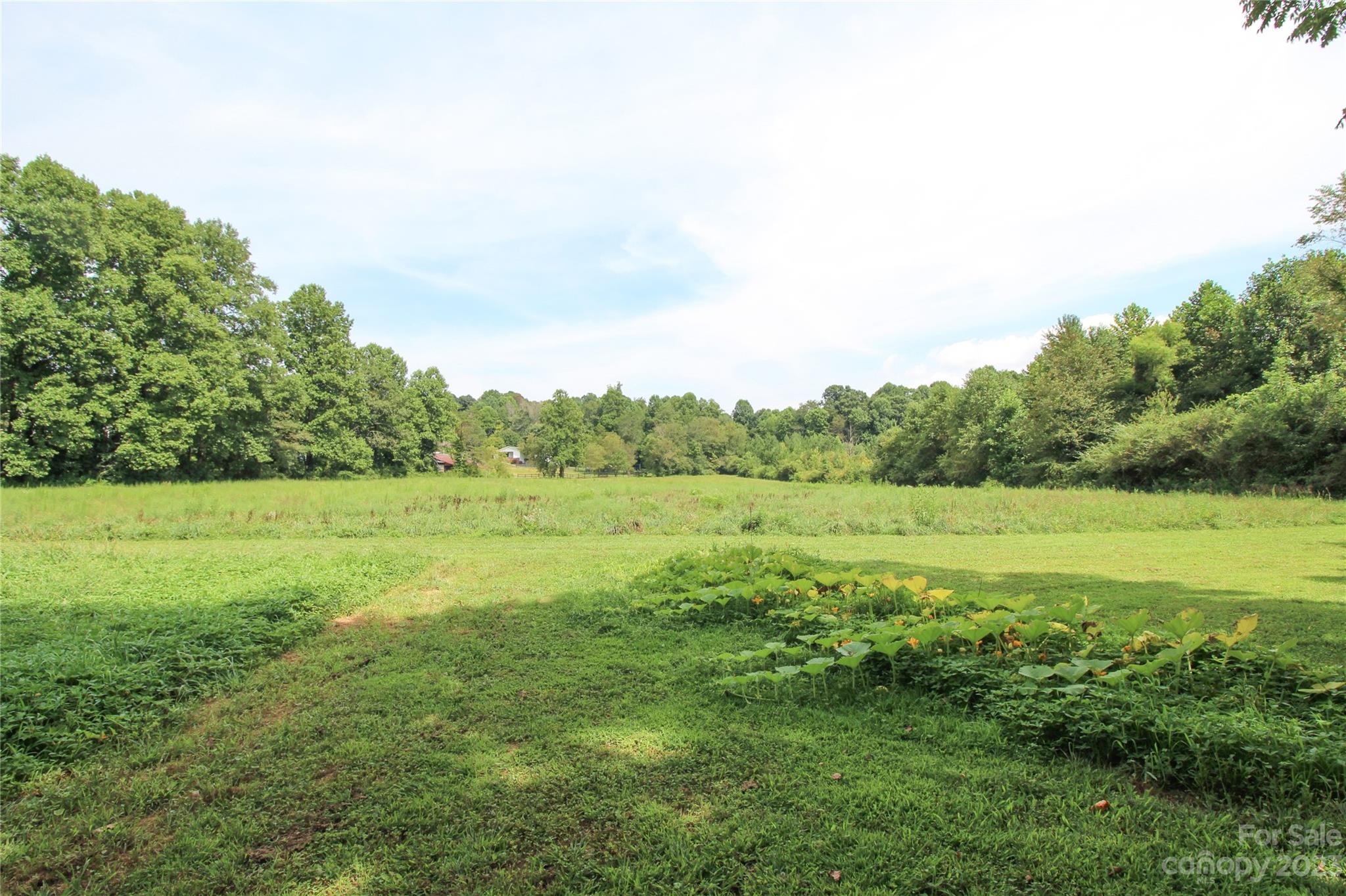 4749 Patton Road Morganton, NC 28655 - Photo 28 of 48 Gallery Image 28