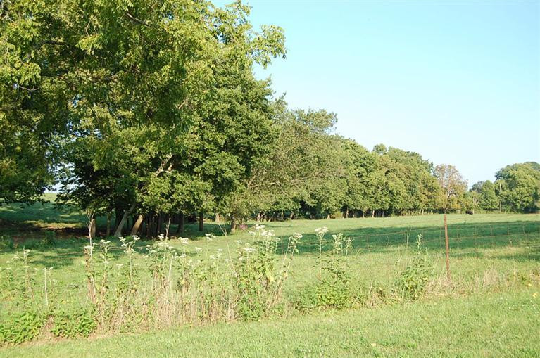 1808 Cummins Ferry Road Versailles, KY 40383 - Photo 4 of 15 Photo 4