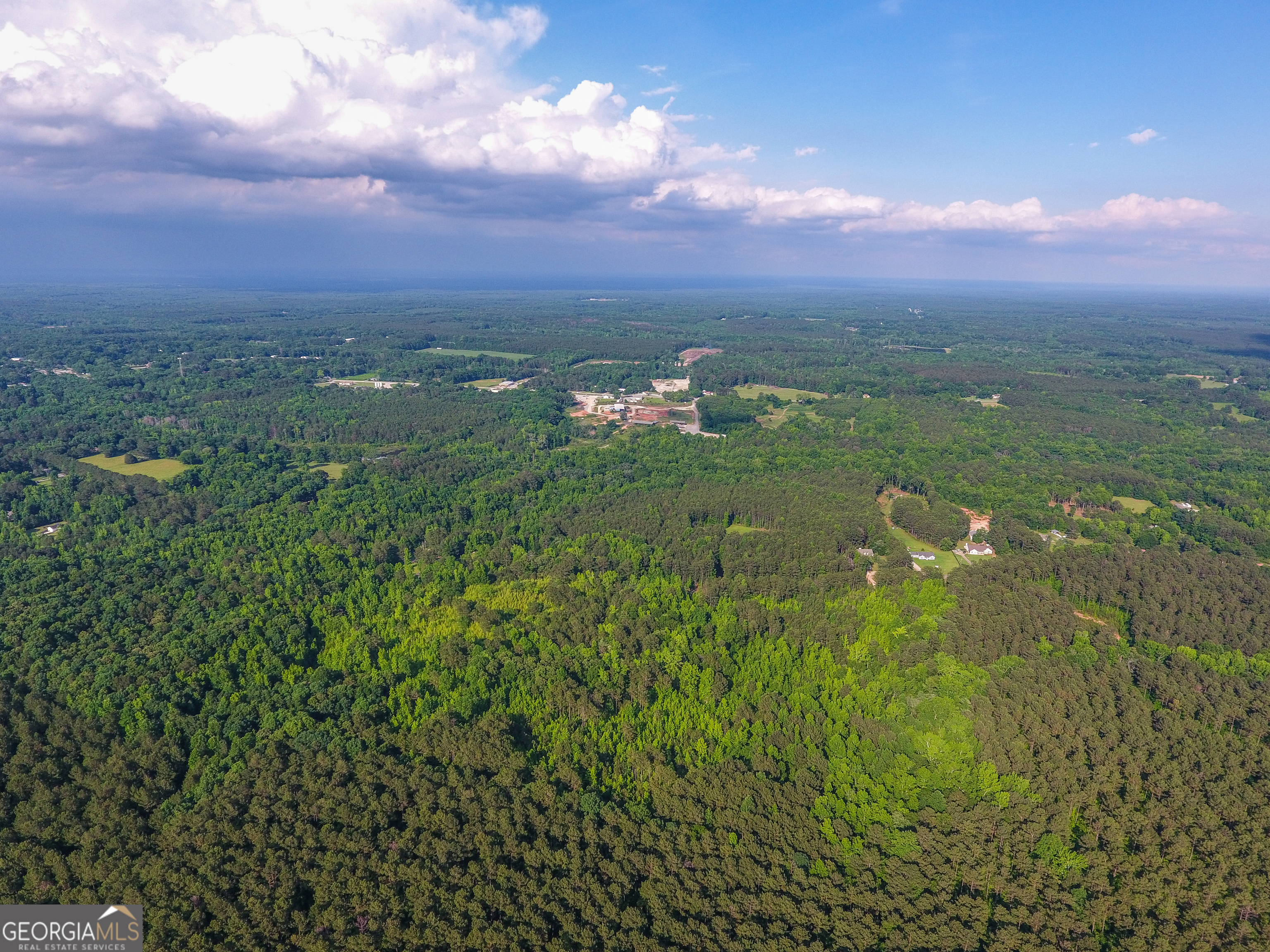 0 John Trammell Road Luthersville, GA 30251 - Photo 5 of 19