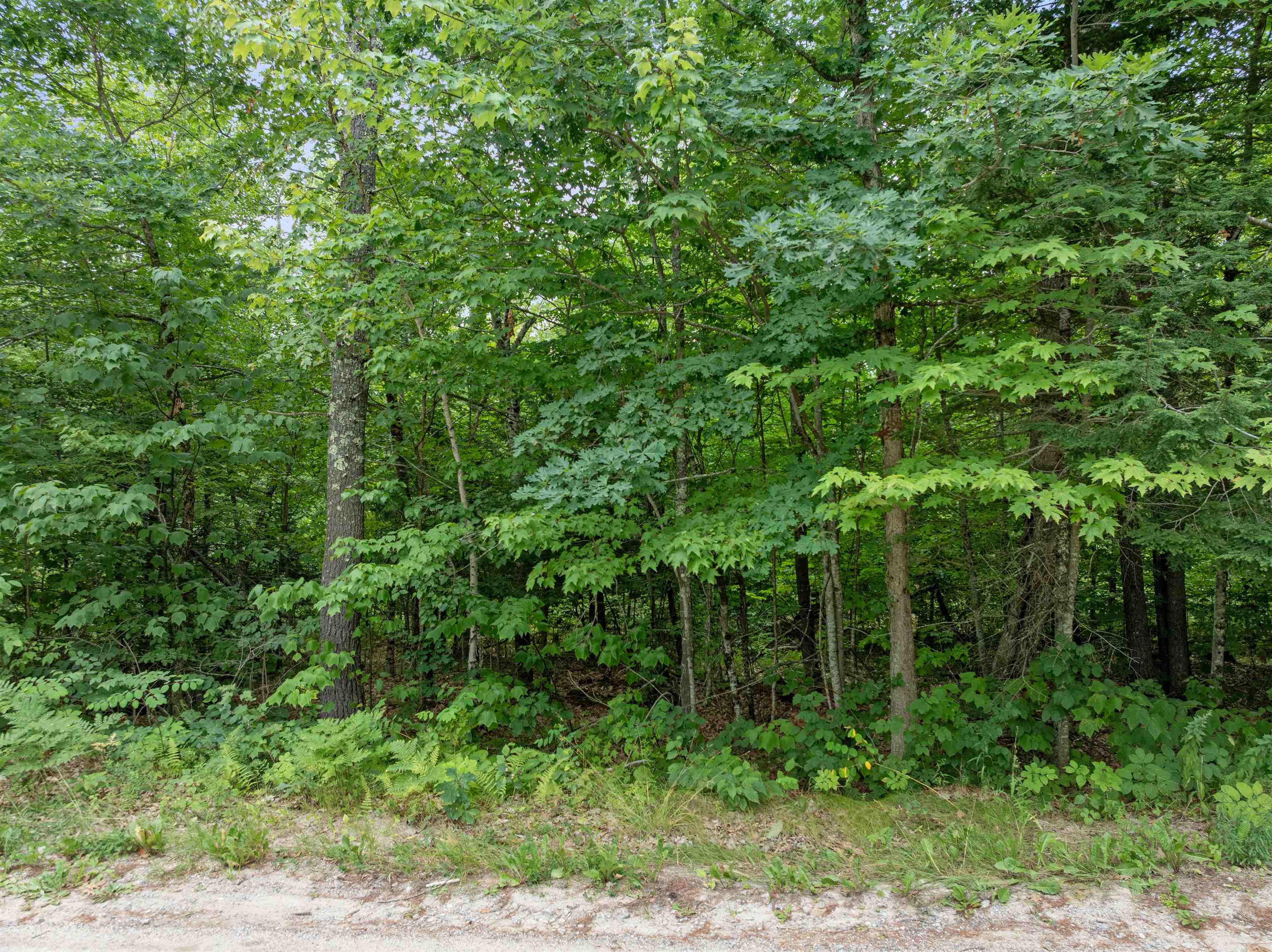 0 Gilman Point Road Moultonborough, NH 03254 - Photo 21 of 25 Gallery Image 21