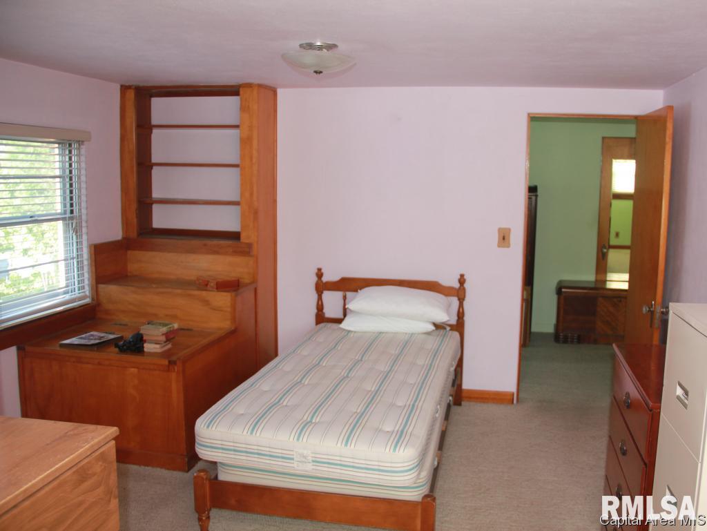 1319 North 6th Street Springfield, IL 62702 - Photo 8 of 11