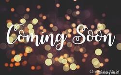 49 Gainsborough Road Holbrook, NY 11741 - Photo 1 of 1