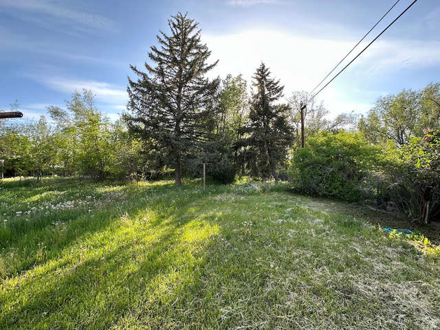 629 North 100 East Logan, UT 84321 - Photo 11 of 11 Expansive grassy area with mature evergreen trees and various deciduous plantings