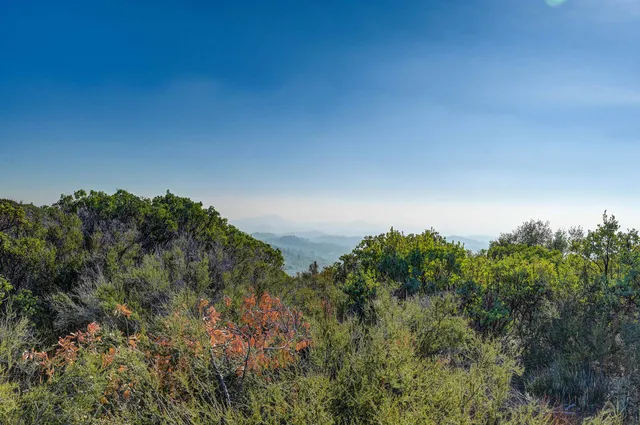 a view of a mountain