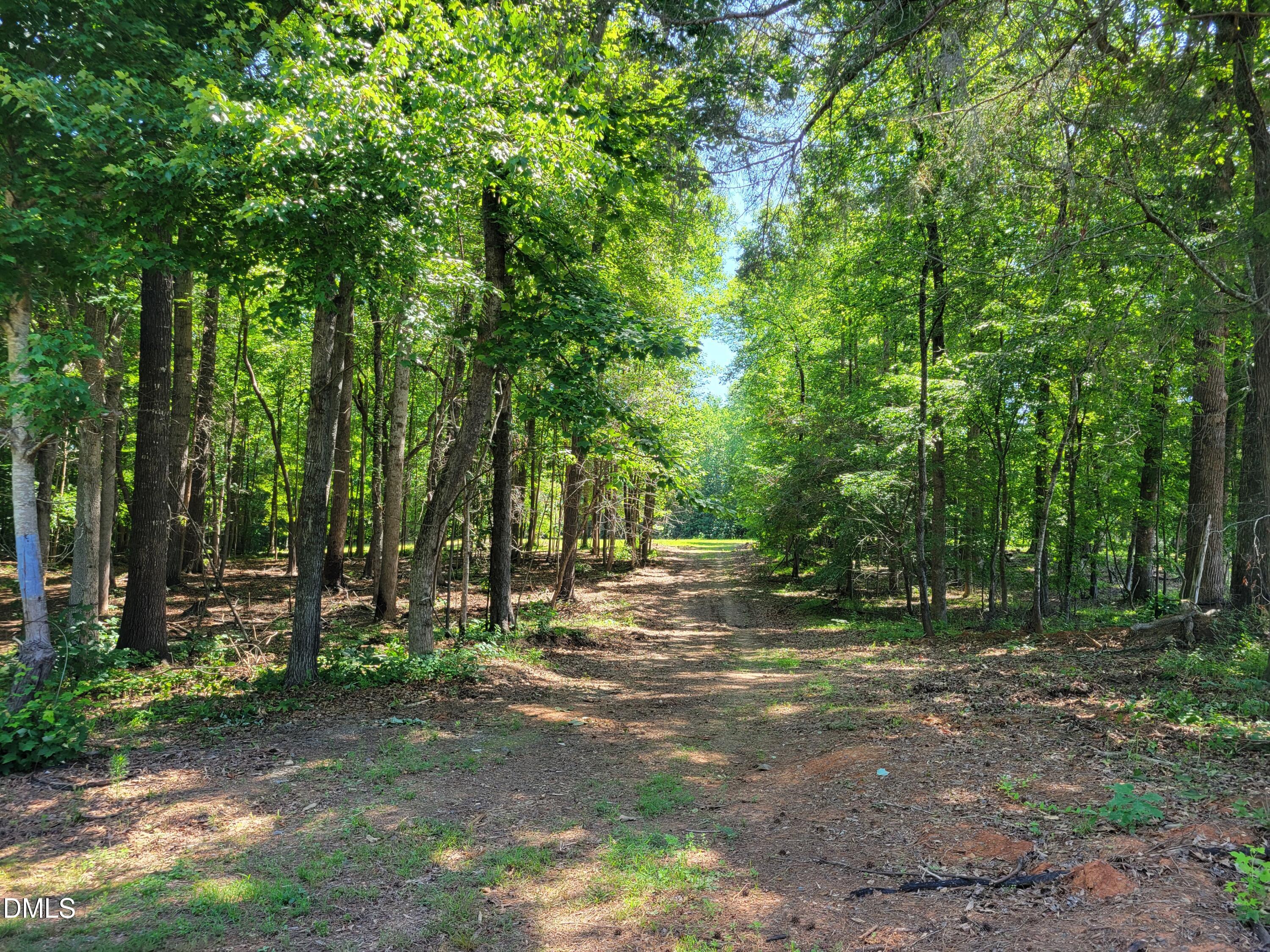 0 Hicks Farm Road Staley, NC 27355 - Photo 29 of 30 20260529_112146