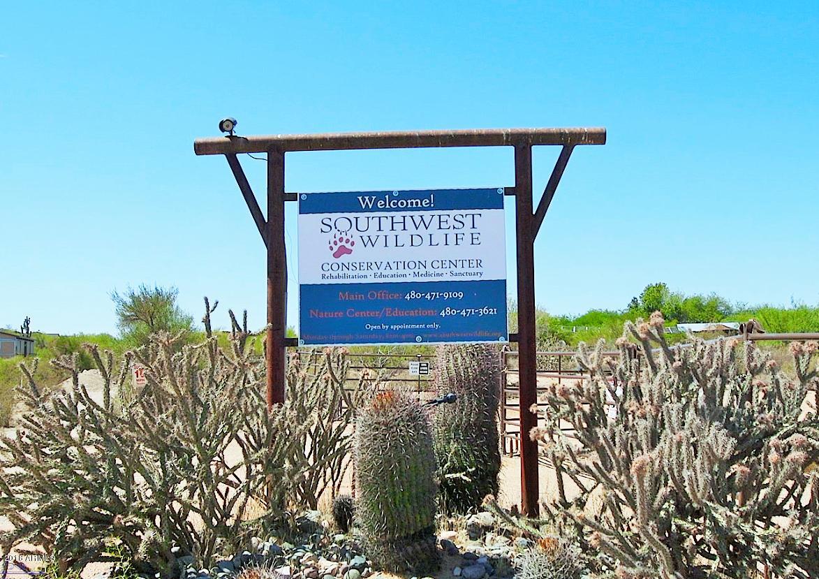 17502 East Windstone Trail Rio Verde, AZ 85263 - Photo 17 of 19 Southwest Wildlife