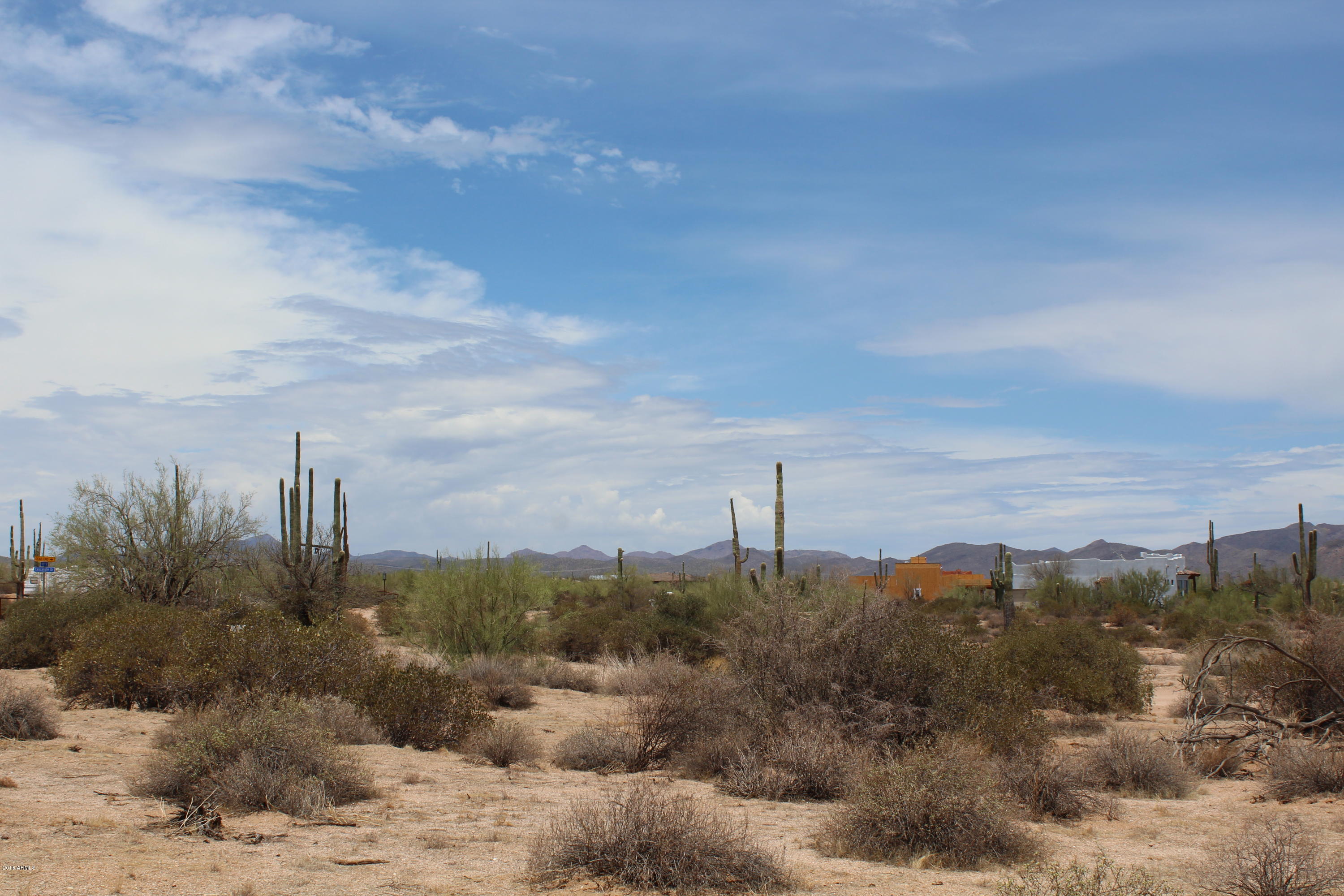 17502 East Windstone Trail Rio Verde, AZ 85263 - Photo 4 of 19 Mature Saguaros