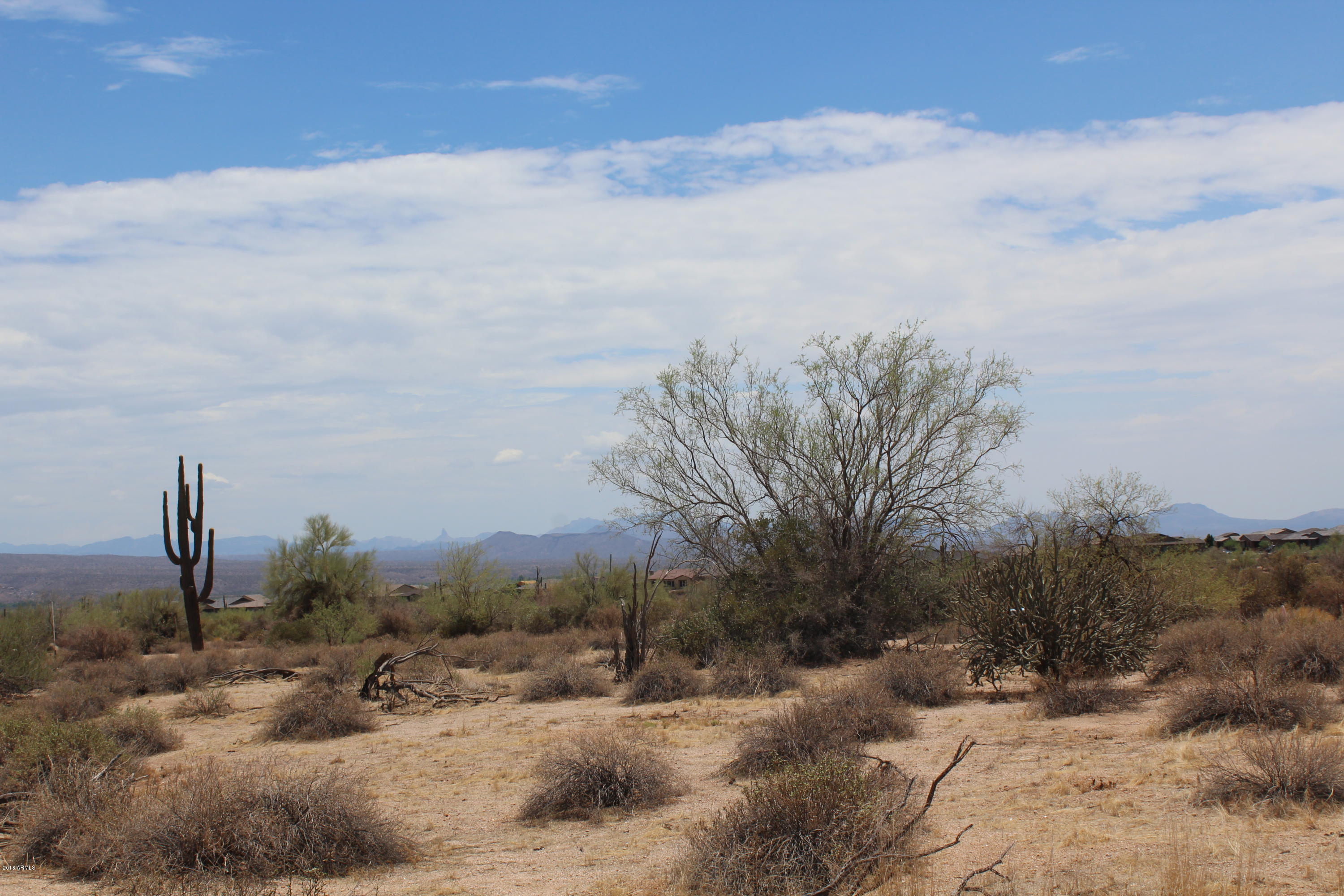 17502 East Windstone Trail Rio Verde, AZ 85263 - Photo 5 of 19 Desert Vegetation