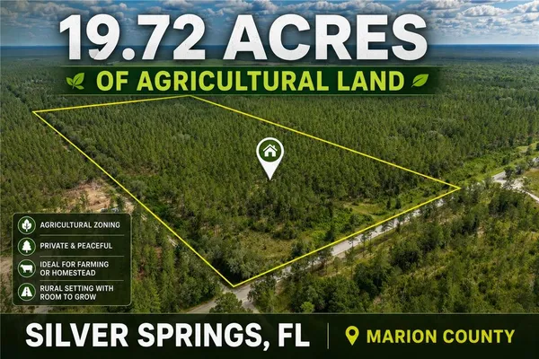 $389,000 | Northeast 90th Street Road, Fort McCoy, FL 32134