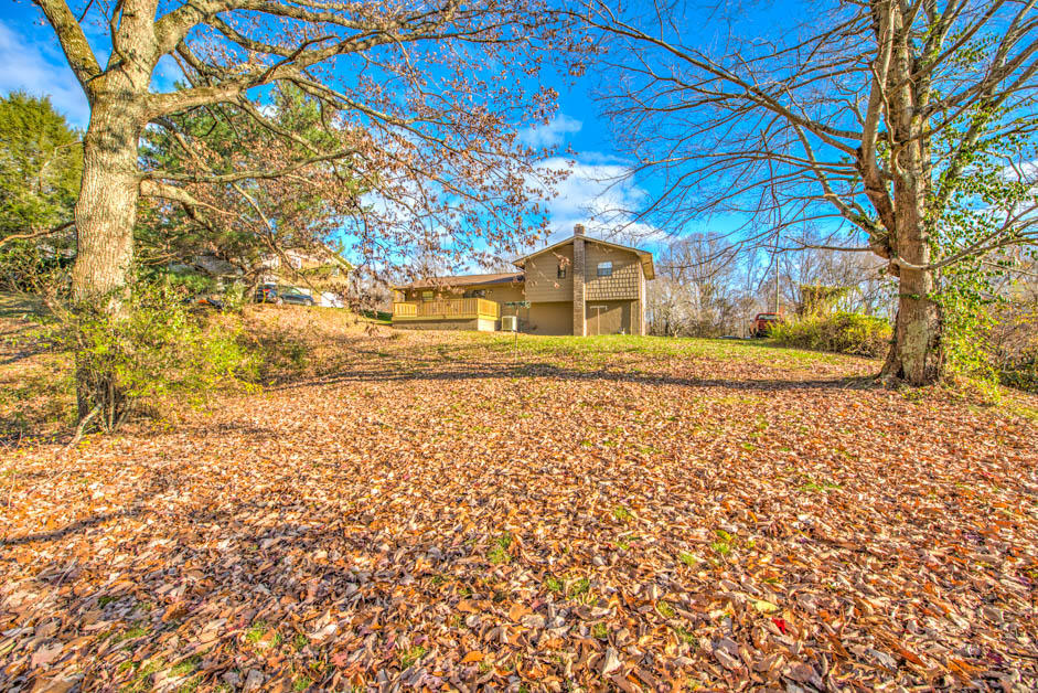 583 Stephens Road Rocky Top, TN 37769 - Photo 25 of 27 Backyard