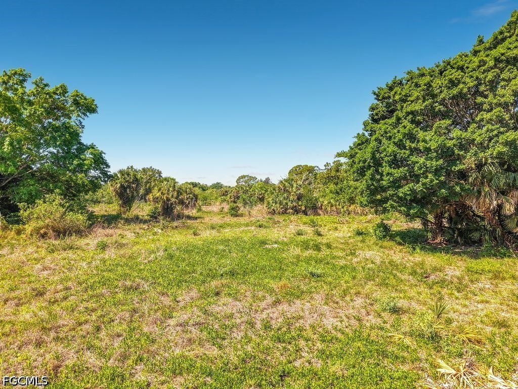 Lake Trafford Road Immokalee, FL 34142 - Photo 6 of 14