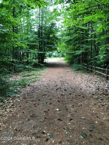 $110,000 | L20 White Birch Drive, Lake Luzerne, NY 12846