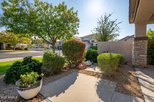 a view of a backyard with potted plants