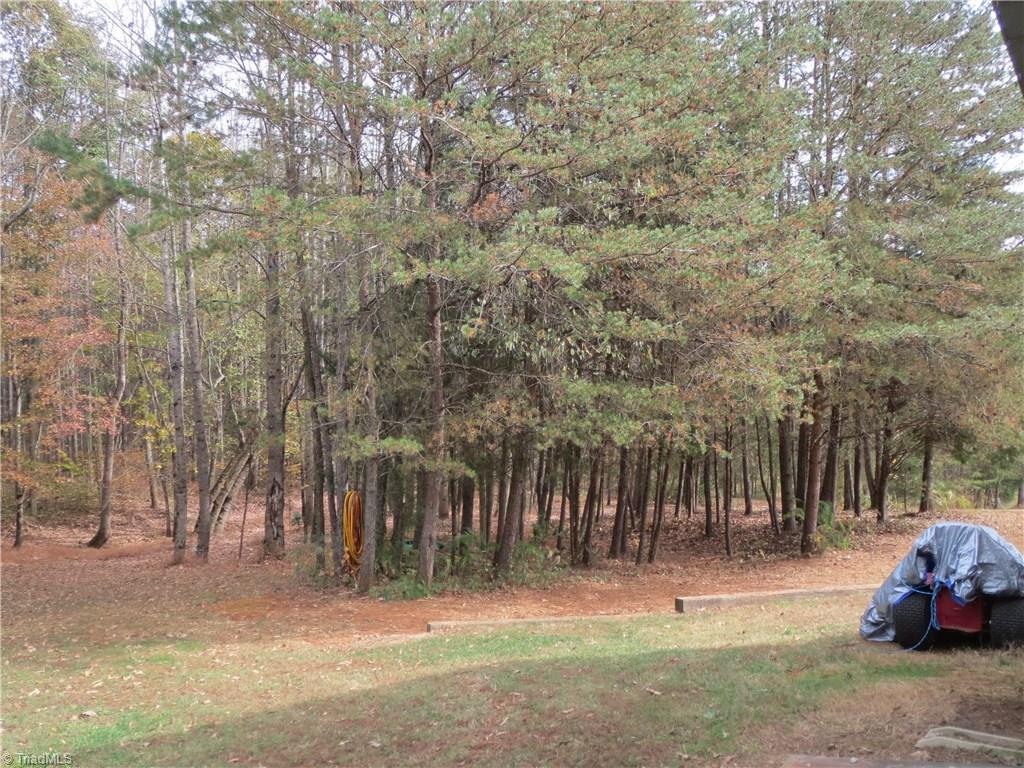 123 Industrial Road Elkin, NC 28621 - Photo 20 of 27 View of wooded area of property.