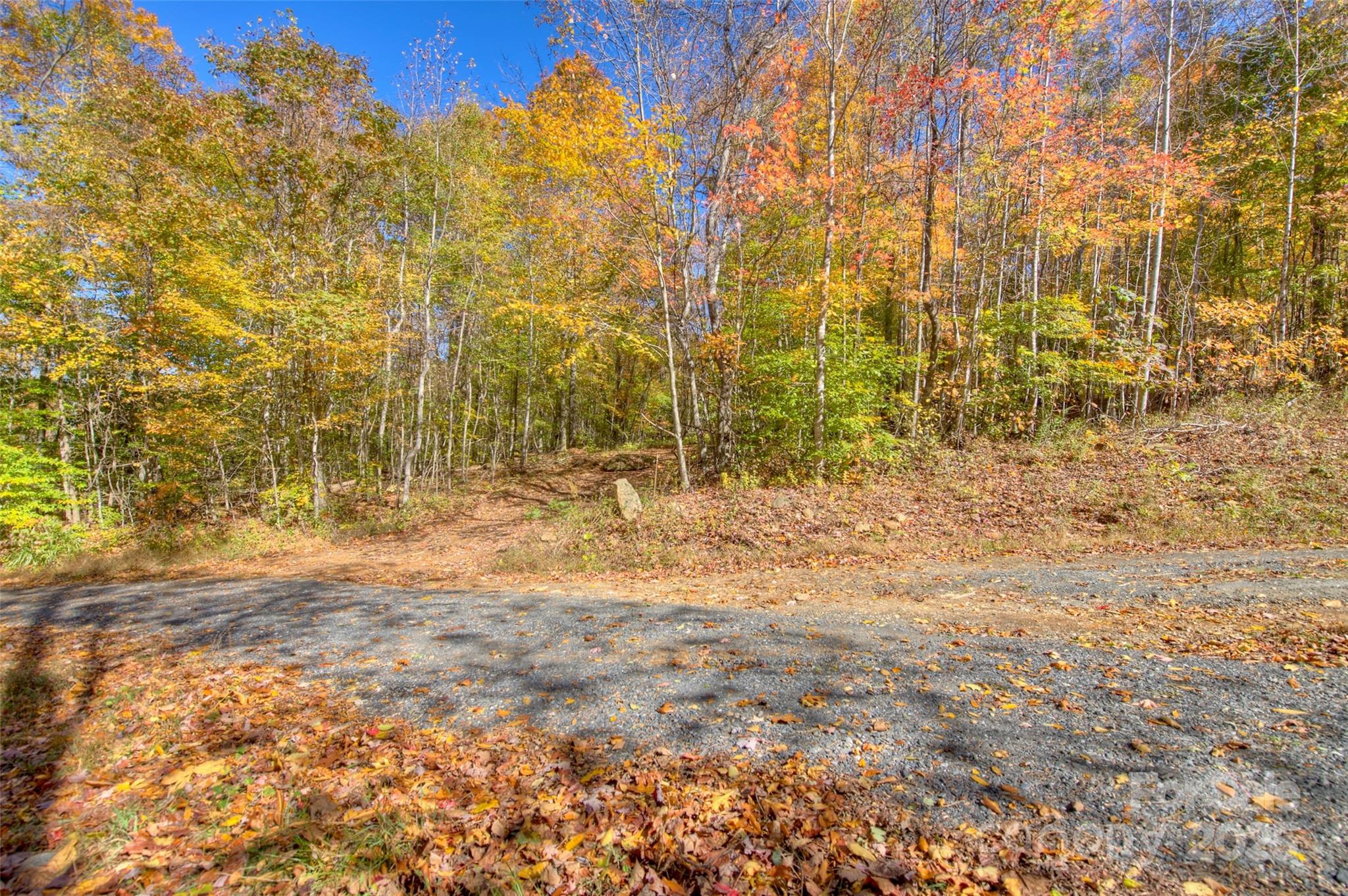 0 Pebble Ridge Road Spruce Pine, NC 28777 - Photo 11 of 26 a view of a yard with trees