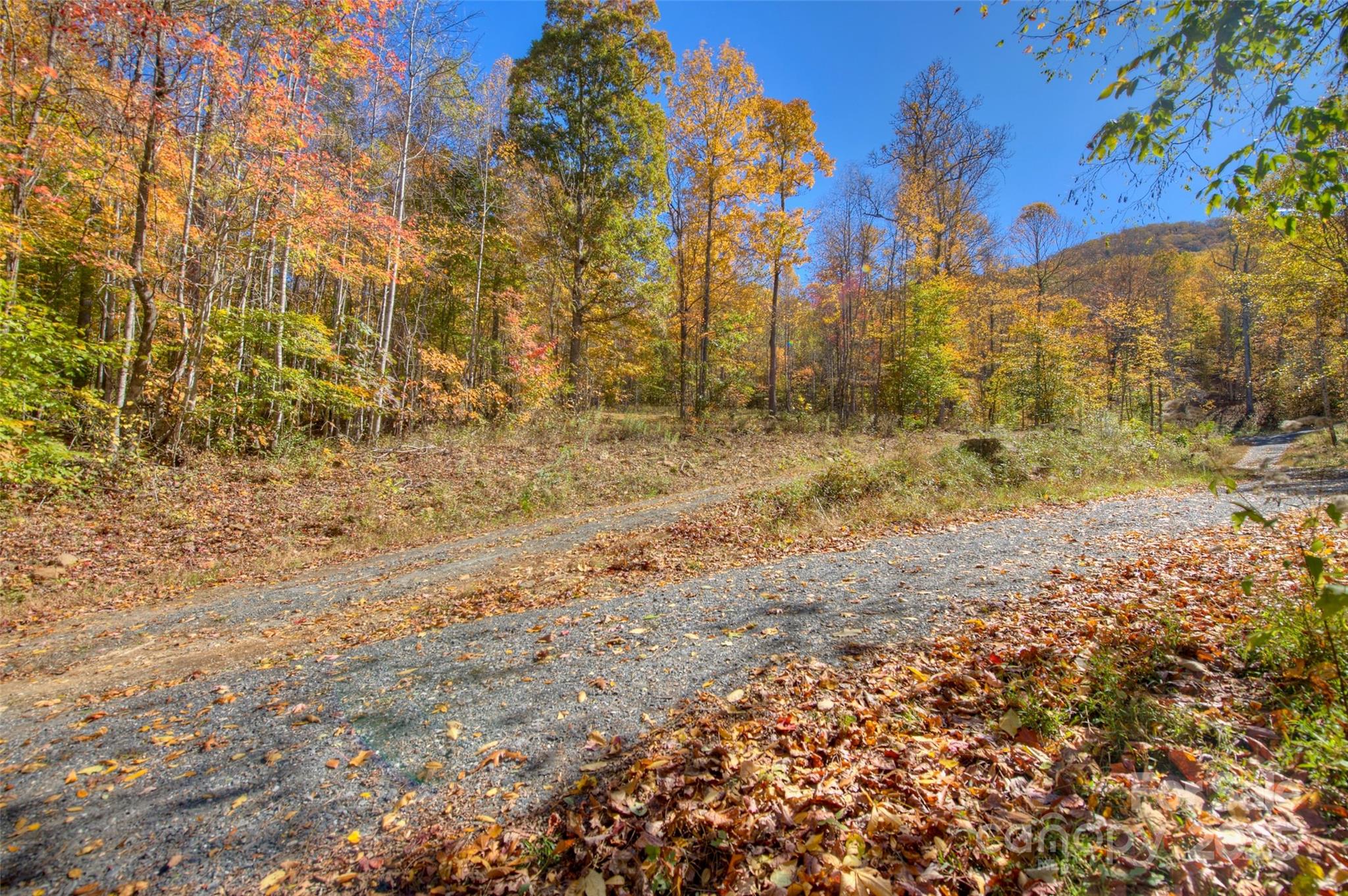 0 Pebble Ridge Road Spruce Pine, NC 28777 - Photo 12 of 26 a view of a yard with trees