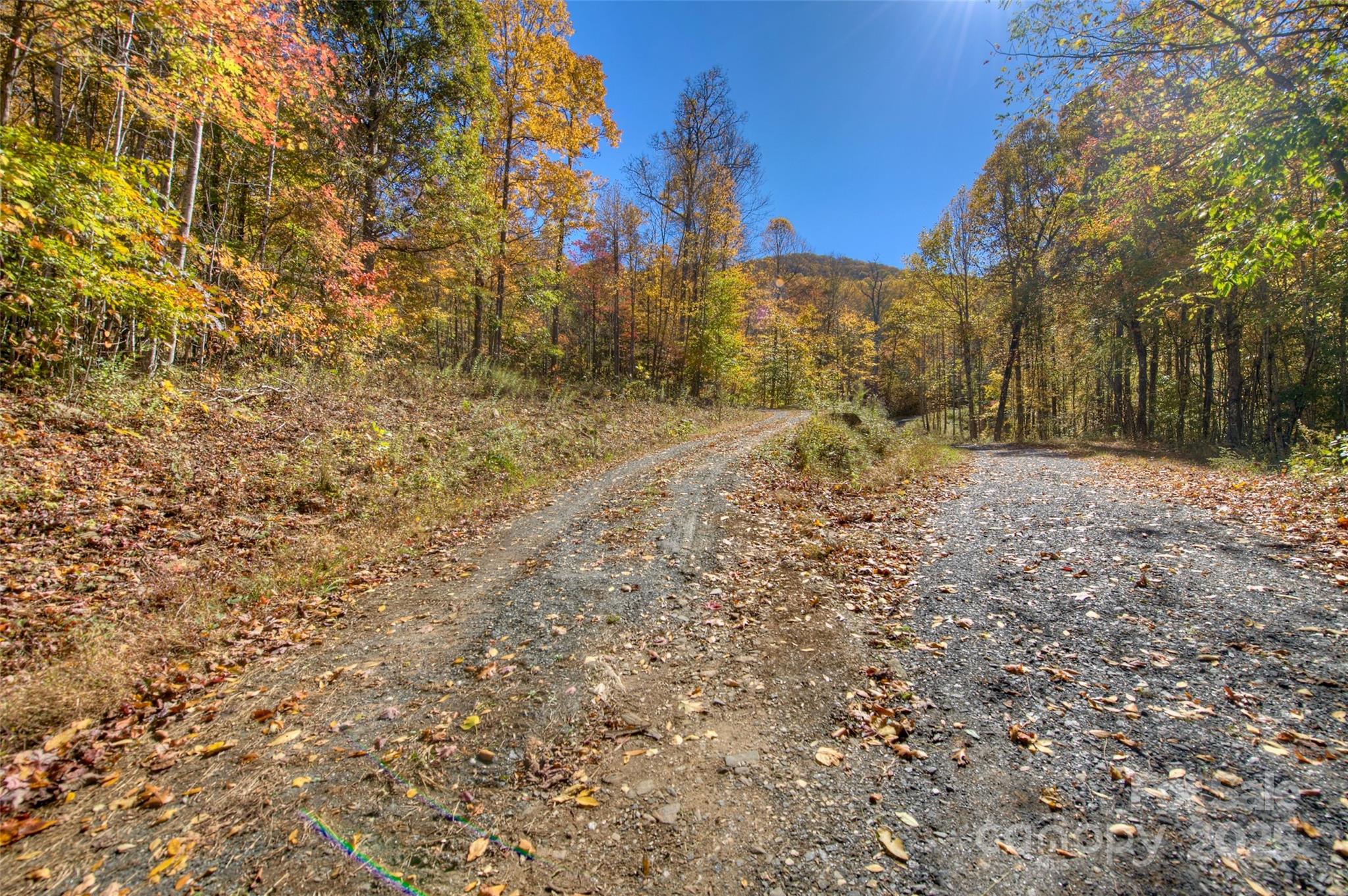 0 Pebble Ridge Road Spruce Pine, NC 28777 - Photo 13 of 26 a view of a yard with a house