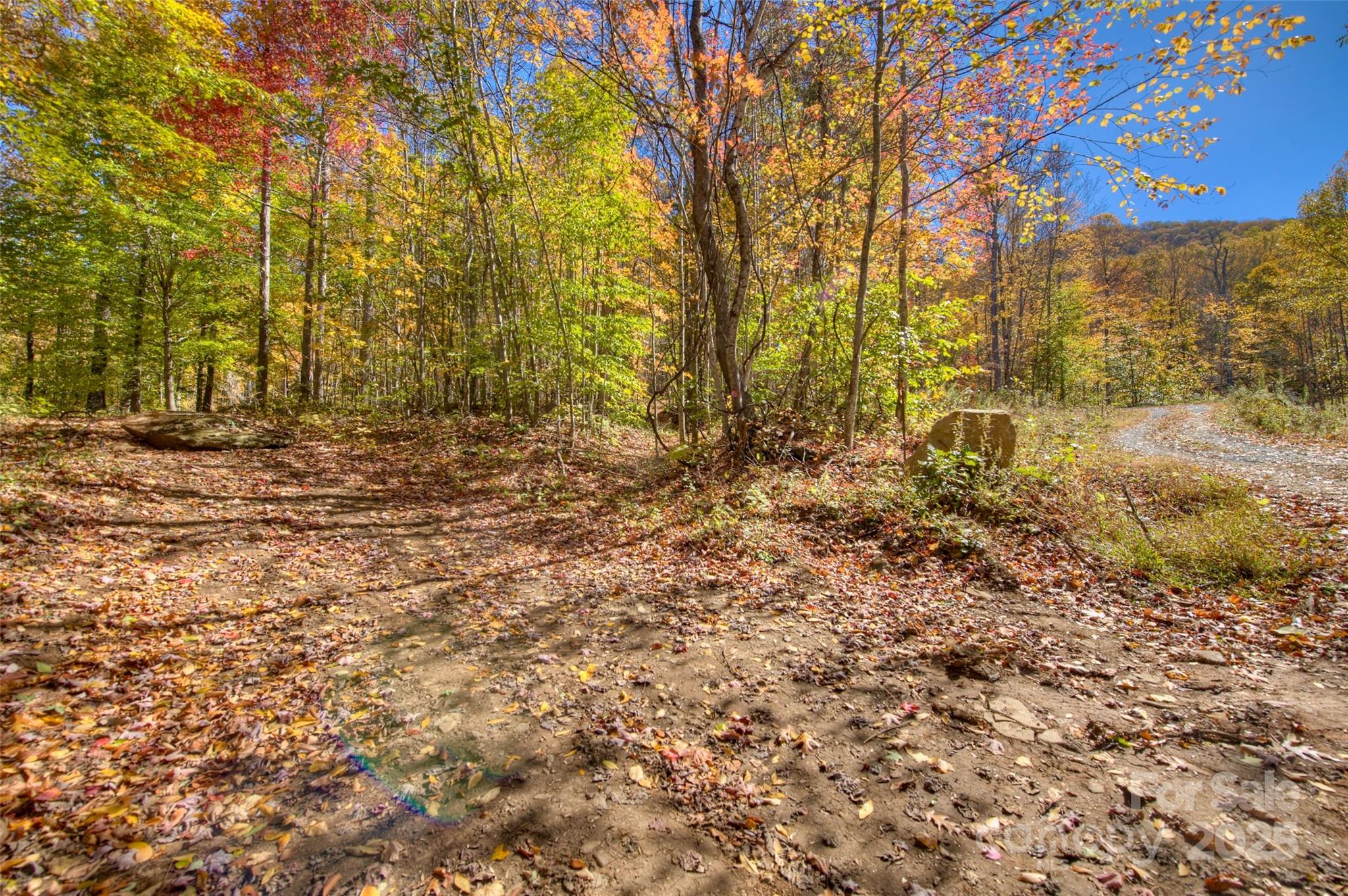 0 Pebble Ridge Road Spruce Pine, NC 28777 - Photo 14 of 26 a view of a yard with trees