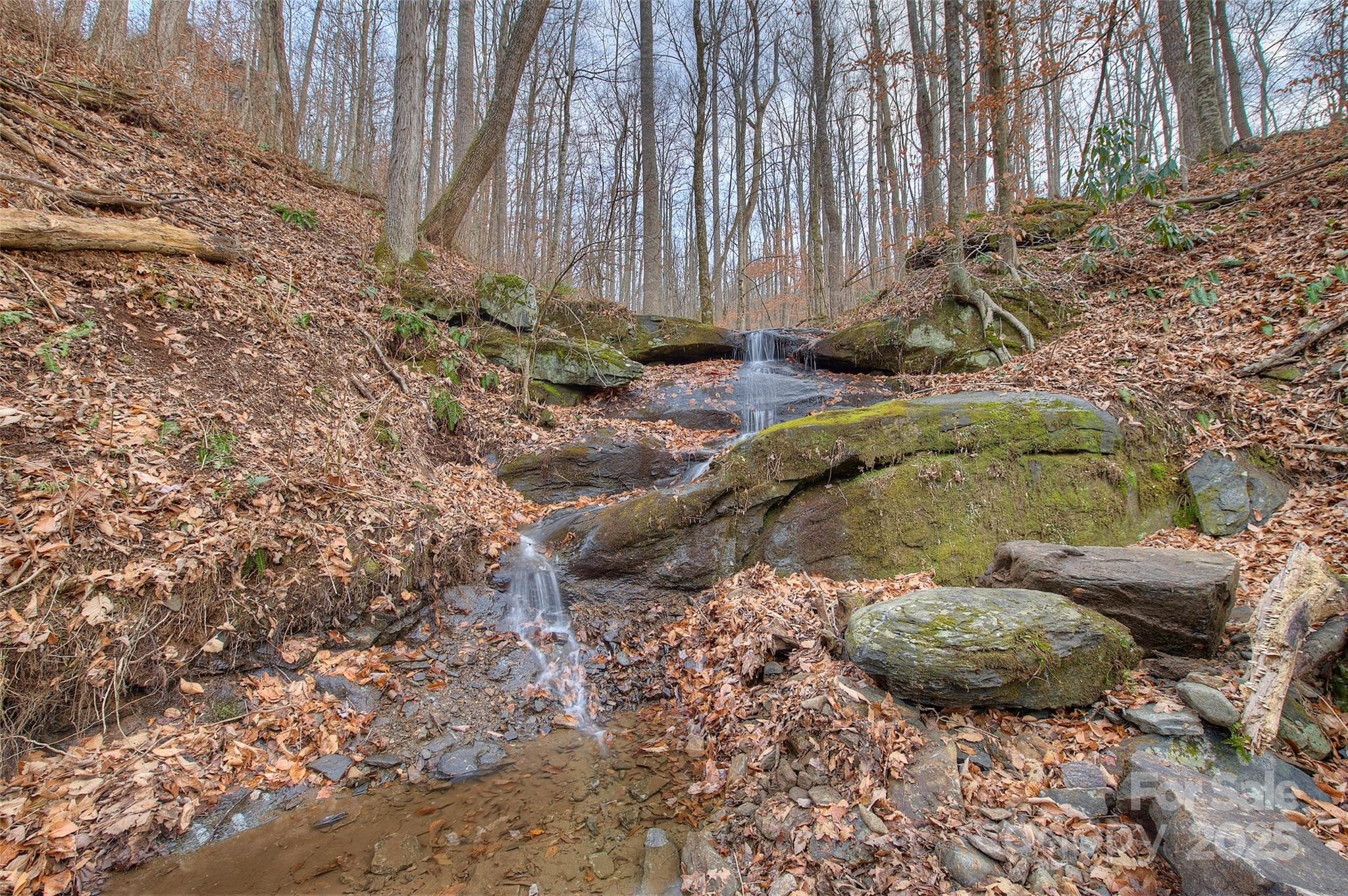 0 Pebble Ridge Road Spruce Pine, NC 28777 - Photo 16 of 26 a view of a backyard with plants and large trees