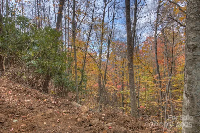a backyard of a house with lots of trees