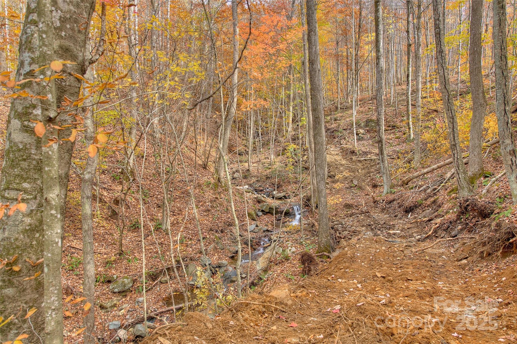 0 Pebble Ridge Road Spruce Pine, NC 28777 - Photo 18 of 26 a bathroom with a shower curtain